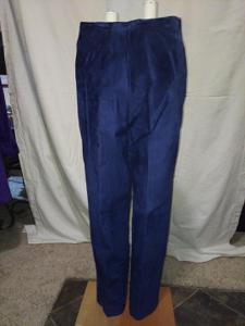 Danier Blue Suede Pants with Side Zipper